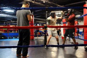 redline fight sports