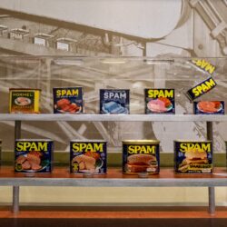 several cans of spam from throughout history are lined up in a display at the spam museum